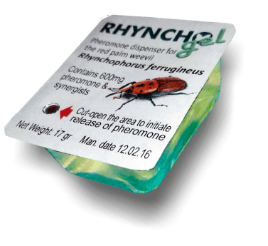 RPW-Rhynchogel